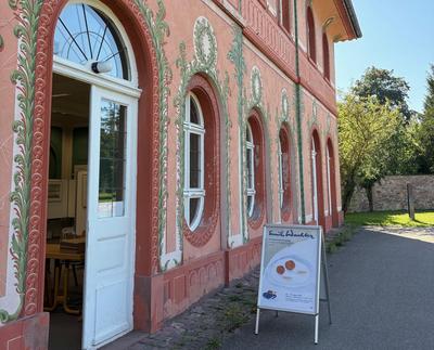 Vorschau